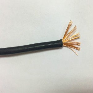 CABLE AUTO 10AMP